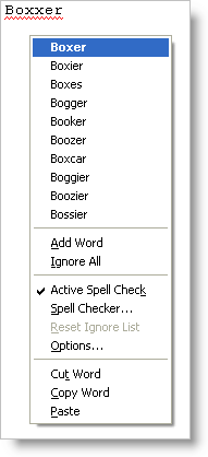 MisspelledWordContextMenu