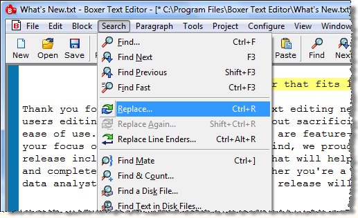 Text Editor screenshot